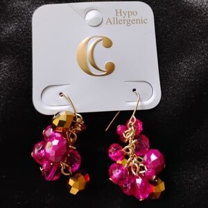 Hot Pink Beaded Cluster Drop Earrings Gold Tone Dangle Statement Hypoallergenic